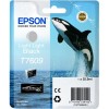 Epson Ink light light black T7609