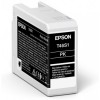Epson Singlepack Ink photo black T46S1
