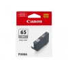 Canon Ink grey
