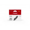 Canon ink grey