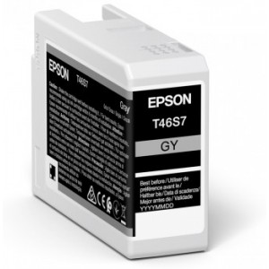 Epson Singlepack Ink grey T46S7