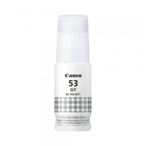 Canon Ink Bottle grey