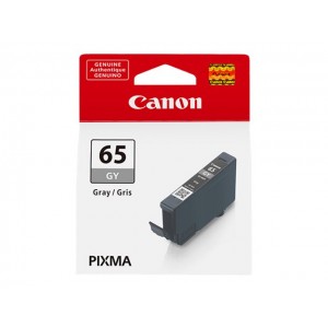 Canon Ink grey