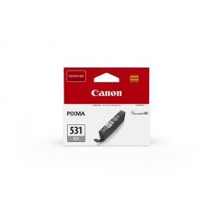 Canon ink grey