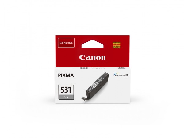 Canon ink grey